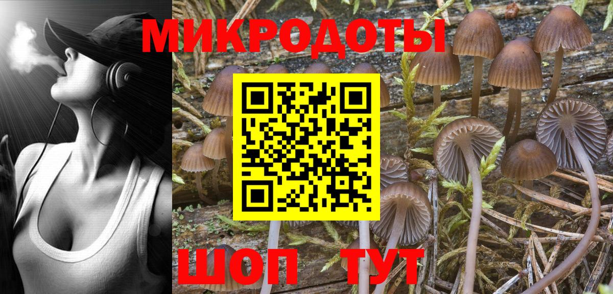 Галлюциногенные грибы Cubensis  Вход с VPN  Лыткарино 
